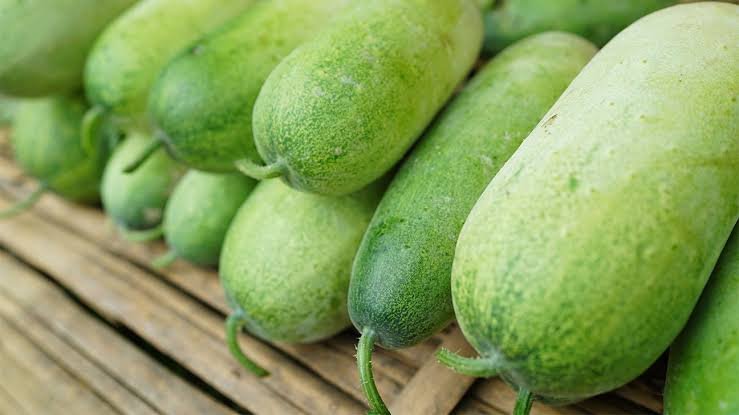 Gourd